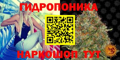 mix Будённовск