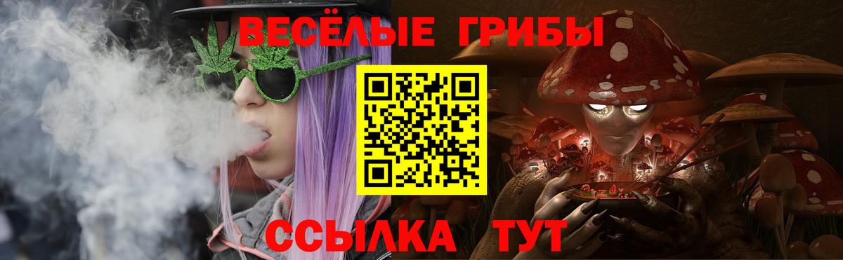 Псилоцибиновые грибы ЛСД Салехард